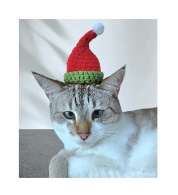 Crochet Elf Santa Hats for Cats and Small Dogs - image1